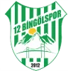 12 Bingol Spor