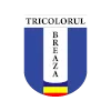 ซีเอส ทริโคลอรูล เบรียซา