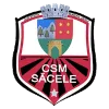 FC Sacele