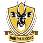 Mthatha Bucks