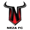 Toros Neza